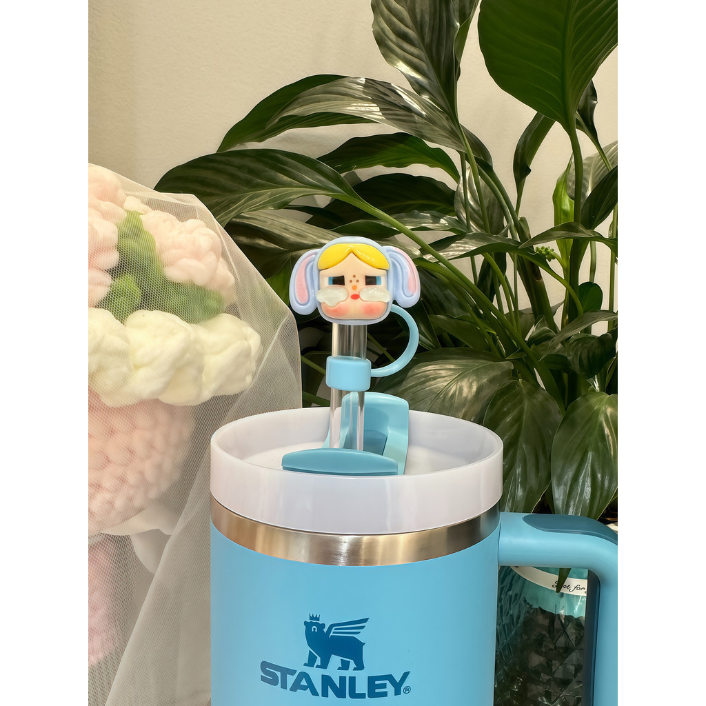 吸管防塵套 吸管蓋 適配stanley吸管防塵塞史丹利水杯10MM吸管帽杯子吸管套水杯配件