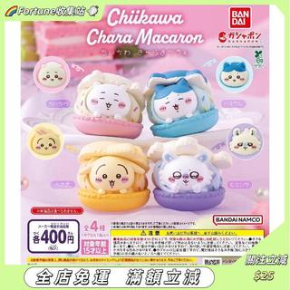 🌈免運 臺現🌈萬代 BANDAI 吉伊卡哇馬卡龍擺件 chiikawa 烏薩奇 扭蛋交換禮物 送男女朋友