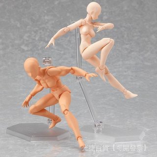 🔥臺灣熱賣好貨🔥免運包郵figma 素體 男性 女性 He she 肌膚色 可動 手辦模型 LUIR