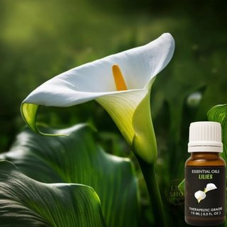 印度製 馬蹄蓮精油精油 海芋精油 Calla Lily 豬百合精油 單方精油 不含合成新增劑 原裝