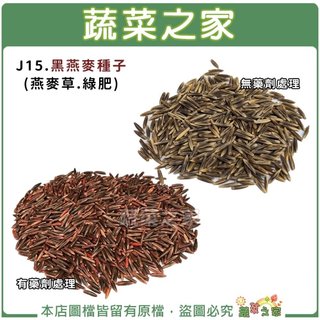 【蔬菜之家】大包裝J15.黑燕麥種子(燕麥草.綠肥.芽菜種子) 燕麥草可食用、打汁皆可