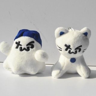 臺灣新品✨TWS男團吐司小貓公仔 韓振 申惟 dohoon鑰匙扣毛絨公仔 幽靈掛件