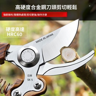 免運費🚀進口材質 修枝剪刀 果樹剪子 SK5園林修枝剪 鋒利斷枝 強力粗枝剪 修剪省力 樹枝園藝 久用不生鏽🔥XWJ