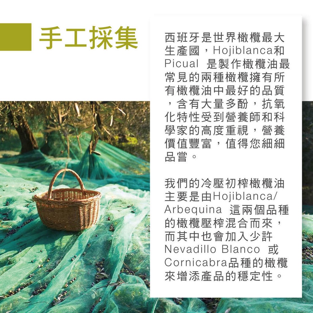 初榨冷壓橄欖油