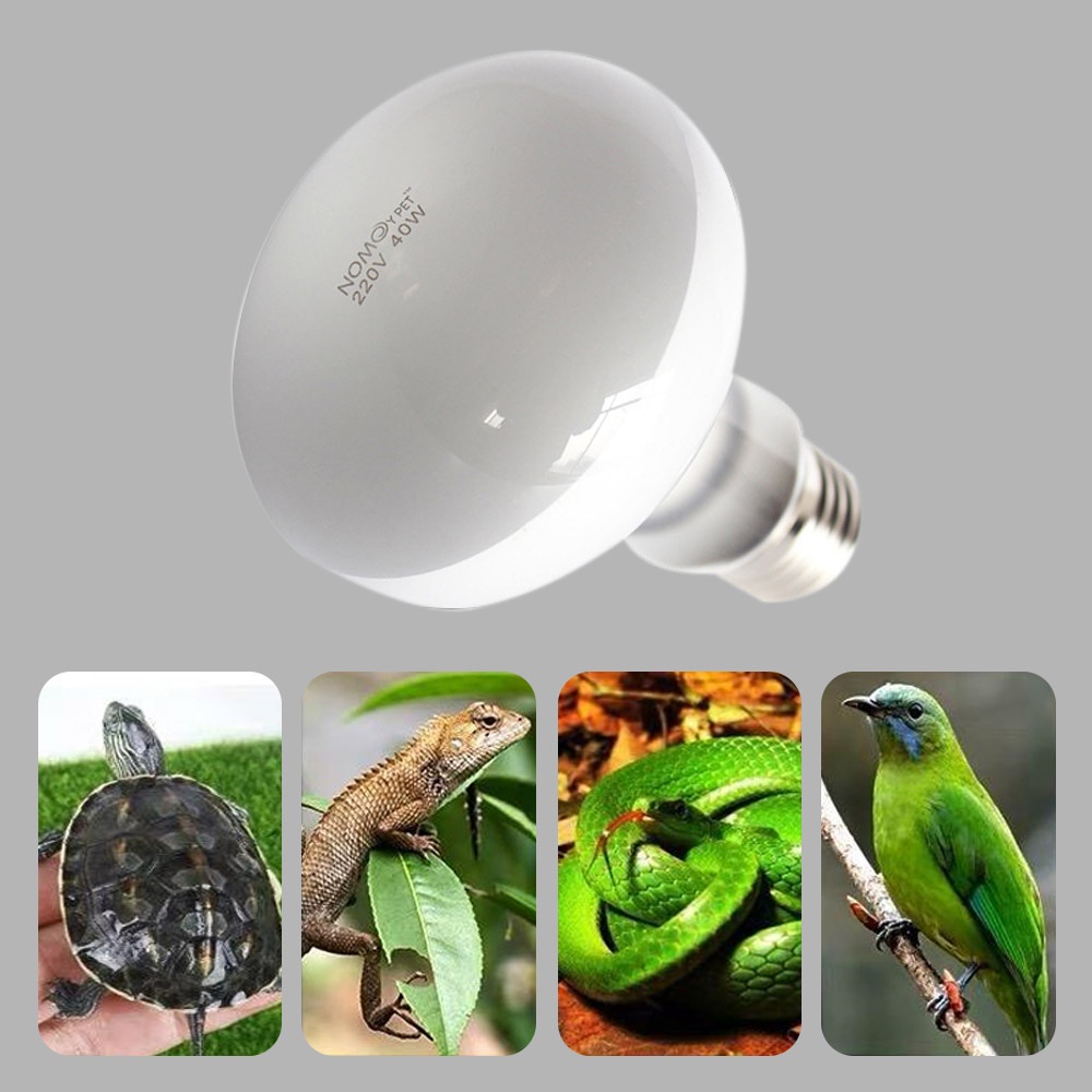 Uva+uvb加熱燈紫外線燈適用於龜蜥爬蟲寵物防水熒光燈溫度控制器220v