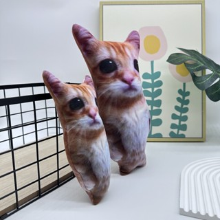 新品 el gato cat plush 可愛模擬貓咪30cm毛絨玩具玩偶公仔