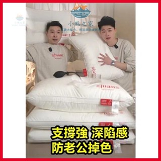 羽絲絨枕芯丨三防枕頭丨枕芯 吸濕排汗枕 雙面防水枕套 保潔墊 枕頭 酒店枕頭 民宿枕芯 飯店枕芯 床包 失眠 護頸 整頭