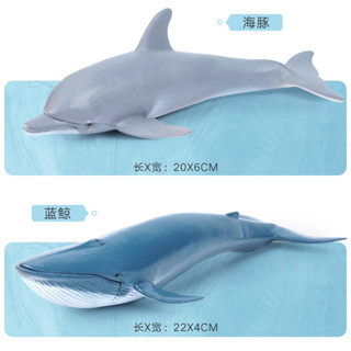 模擬海洋玩具生物鯊魚動物小魚世界海豚兒童恐龍鯨魚海底模型款