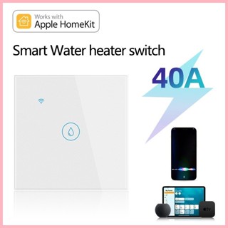 ♞,♘,【臺灣】Homekit 40A大功率熱水器燈空調開關定時語音