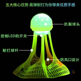 臺灣出貨 夜光羽毛球子 塑膠防風耐打 戶外訓練 尼龍夜間熒光燈 帶發光羽毛球