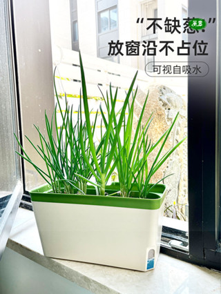 室內種植盆 種菜專用箱 種菜盆神器 家庭陽臺小花盆 家用盆栽盆 【採奕】