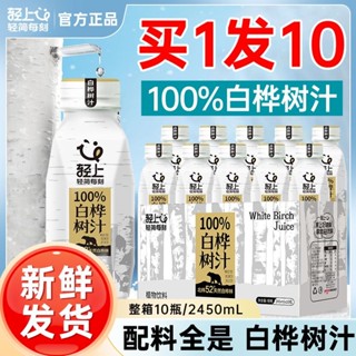 白樺樹汁 白樺樹原漿 白樺樹原漿汁液 輕上100%白樺樹汁原液 100%純鮮原汁白樺樹汁天然原汁植物飲料