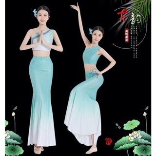 傣族舞蹈表演服 表演服 孔雀舞 魚尾半身裙 藝考服裝