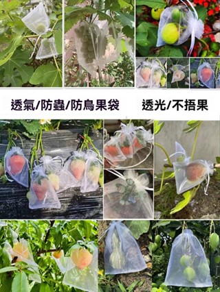 🚚免運🚚 尼龍水果套袋果實防鳥蟲專用網袋葡萄無花果石榴番茄草莓保護袋