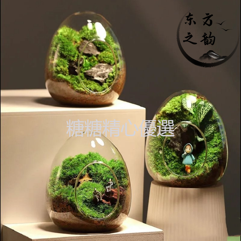 台灣出貨 苔蘚微景觀盆栽 生態瓶奇趣創意 種好植物小盆景 辦公室桌麵好養綠植 交換禮物