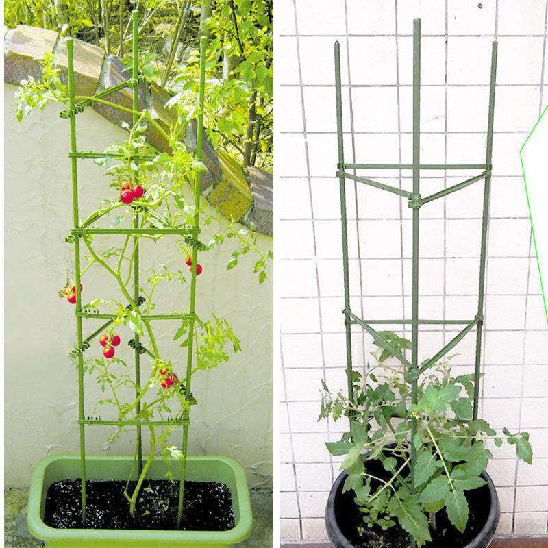 🚚免運🚚 番茄架子陽台西紅柿固定植物支撐架黃瓜攀爬架子花盆支架包塑鋼管