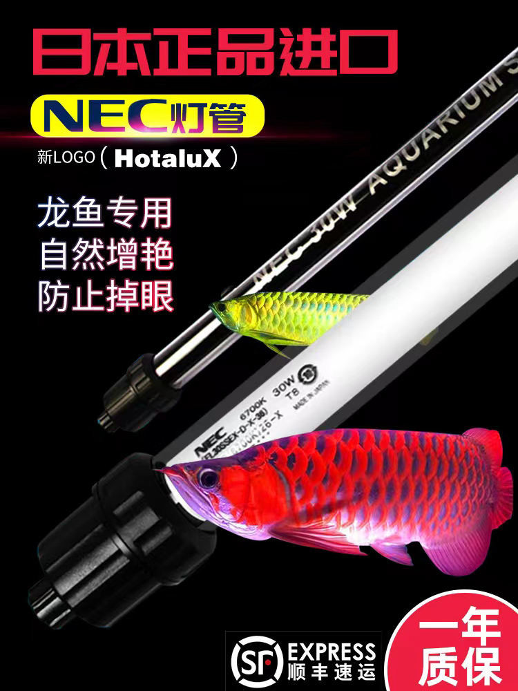 現貨 日本NEC潛水龍魚燈防水6700kT8三基色魚缸燈管水族金龍魚增色專用