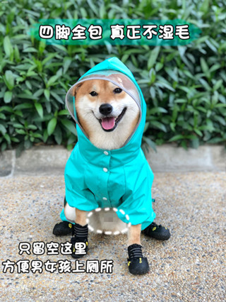 ♞,♘小型犬狗雨衣四腳寵物雨天衣服夏季防水肚兜不濕柯基中型犬泰迪雨批