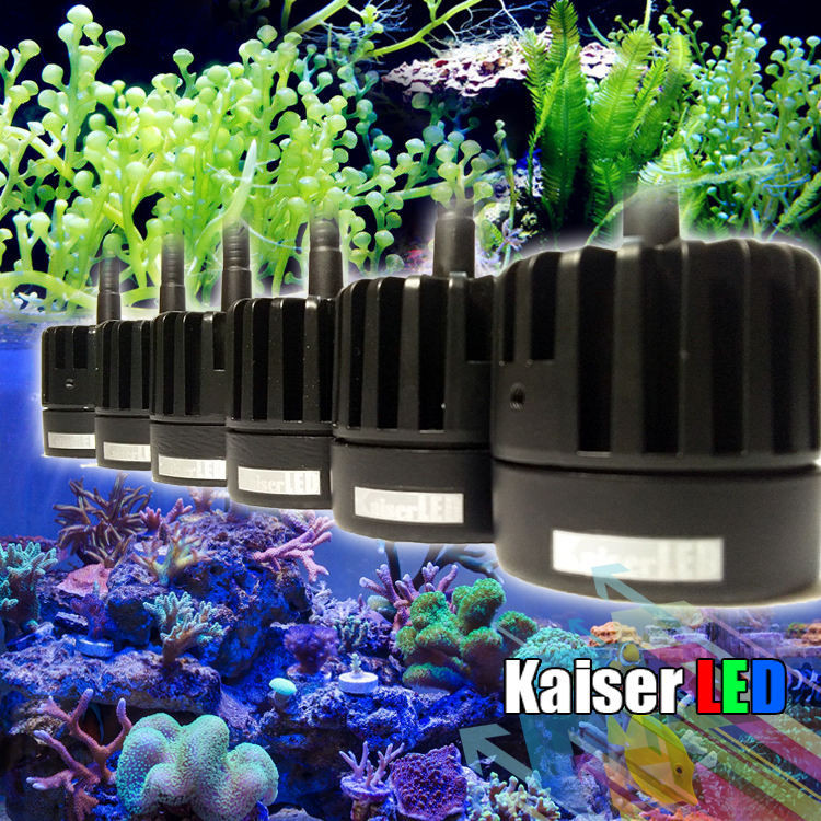 現貨秒發 Kaiser LED 專業藻缸 補光 ATS 植物夾燈 機械臂 神燈 海水珊瑚
