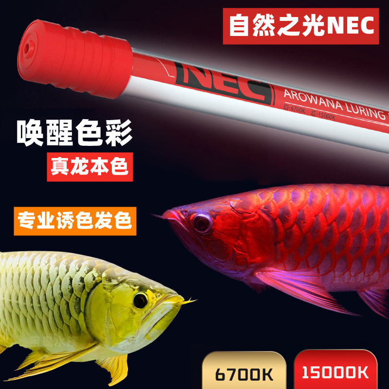 現貨 日本NEC龍魚專用髮色燈增色仟魚三基色魚缸燈紅龍金龍魚燈潛水燈