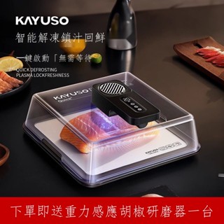 【Fish】臺灣出貨 KAYUSO家用牛排極速回鮮器廚房冷凍食物小型智慧定時解凍除菌鎖鮮