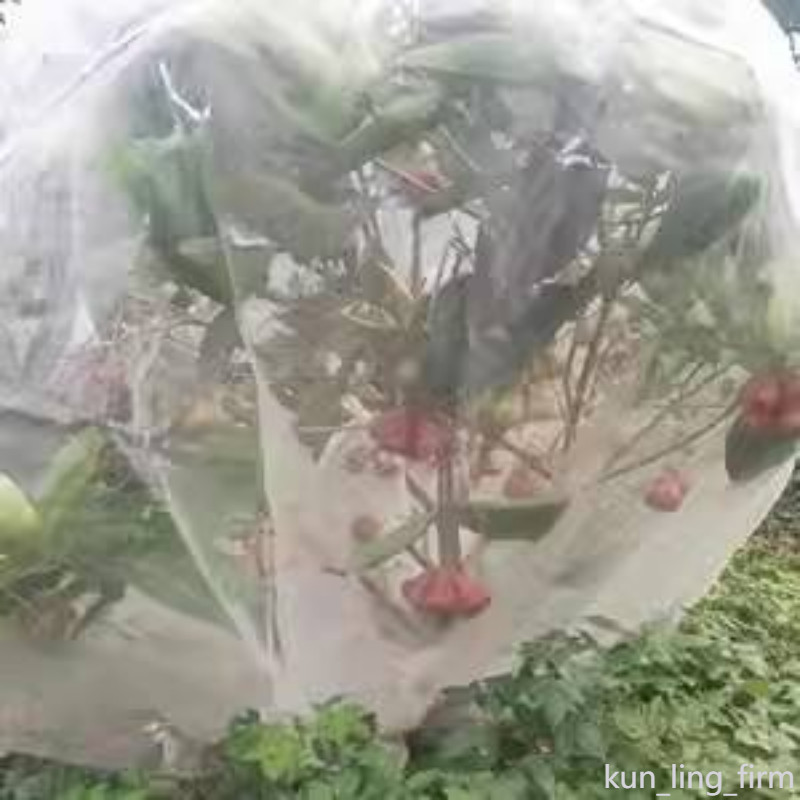 🚚免運🚚 楊梅網罩蓮霧藍莓網嘉寶果樹防蟲網防鳥用網櫻桃網蚊帳蔬菜加厚40