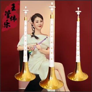 實拍 王偉管樂白色嗩吶仿猛獁牙嗩吶專業演奏舞臺樂器塑膠樹脂嗩吶 R2SD