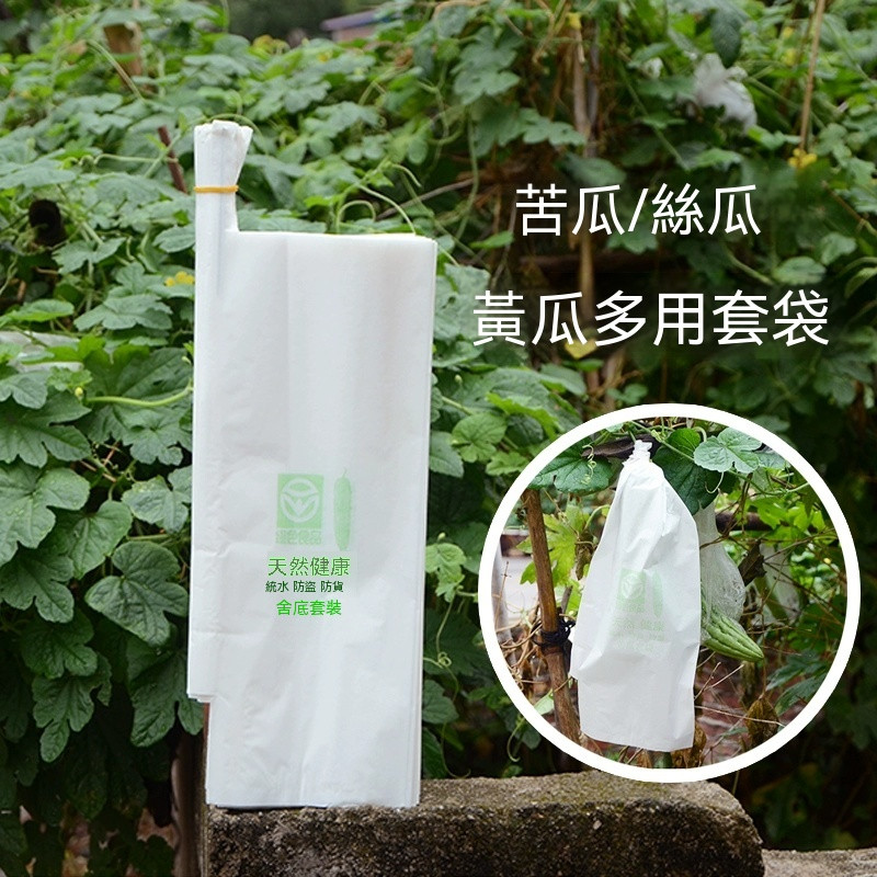🚚免運🚚 苦瓜專用套袋絲瓜黃瓜保護袋紙袋防蟲網袋防水防鳥神器水果保護套