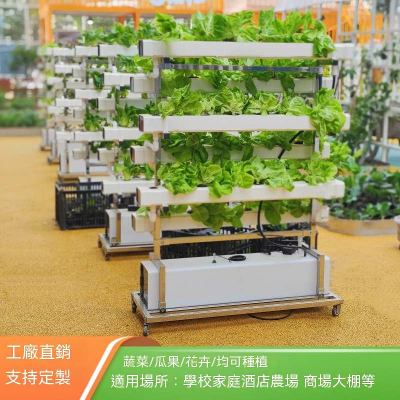免運 NFT無土栽培蔬菜草莓種植雙面垂直架水耕設備陽台水耕多層種菜機