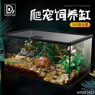 🚚臺灣熱銷🚚 玻璃飼養箱爬蟲缸雨林爬寵陸龜守宮蜥蜴角蛙蜘蛛甲蟲寵物蛇生態缸