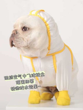 【catbeauty寵物館】 狗狗外出防護服 泰迪法鬥四腳中小型犬防塵服防水雨披衣服