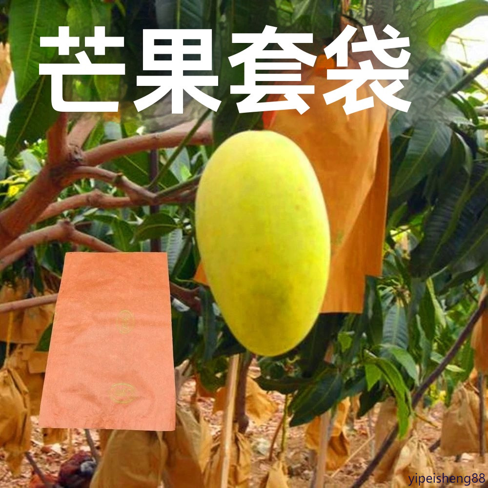 🚚免運🚚 芒果套袋金煌芒專用袋水果梨桃枇杷蘋果防水防蟲防鳥育果袋子