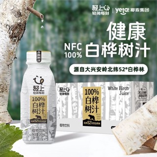 白樺樹汁 白樺樹汁原液 白樺樹原液 白樺樹原漿 白樺樹水 輕上100%白樺樹汁NFC原汁
