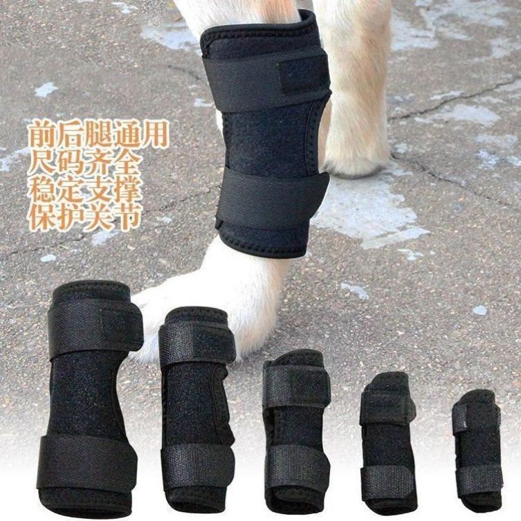 寵物貓狗狗後腿無力關節保護膝蓋骨折綁帶老年短腿狗護腿支架護套
