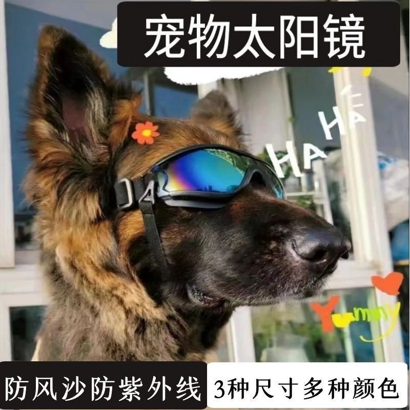 Dollzy~❤ 寵物狗狗護目鏡柯基小狗眼鏡防水遮陽防紫外線大中小型狗護目眼鏡
