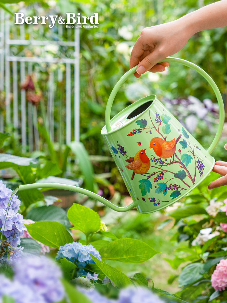 Watering kettle for flowers/// Berry&amp;Bird不鏽鋼長嘴澆水壺盆栽澆花灑水壺2L大容