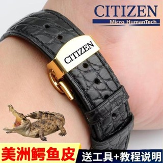 臺灣出貨 CITIZEN/西鐵城錶帶真皮鱷魚皮光動能原裝蝴蝶扣藍色男款錶帶22mm