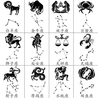 模擬紋身貼紋身貼紙 十二星座刺青貼防水女持久暗黑系手部簡約網紅刺青貼ins風網紅款