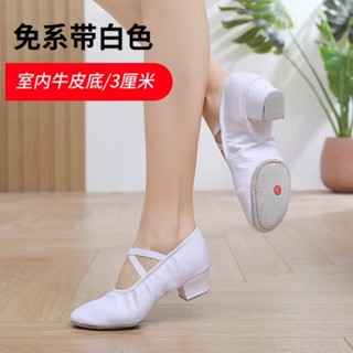 新款 舞蹈鞋 練功 跳舞 新款帆布平底免抽繩室外舞蹈練功鞋成人軟底跳舞鞋專業芭蕾舞表演