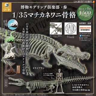 新品進口 SO-TA 日本扭蛋 1/35模擬鱷魚骨骼模型 新款立體骨架化石組裝禮物