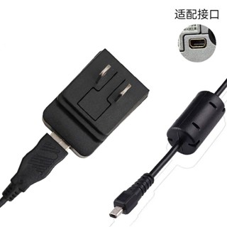 相機充電器適用松下DMC-FX80 FH10 LF1 SZ5/7/10 ZS30 FT5 XS1/3