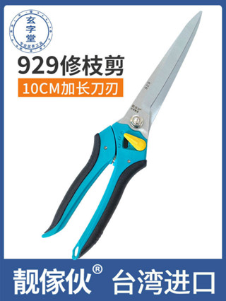 現貨熱銷 靚傢夥長刃修枝剪刀 929園藝剪花卉剪月季剪 雲片剪加長刃葉芽剪