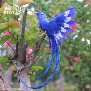 新品推薦 模擬動物展翅彩色羽毛鳥長尾鳳凰家居裝修花園櫥窗裝飾品模型擺件