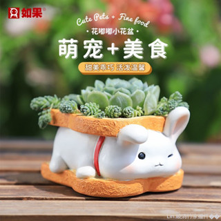 促銷特賣 寵物兔小花盆筆筒兩用貓咪多肉植物花盆裝飾盆栽微景觀花器