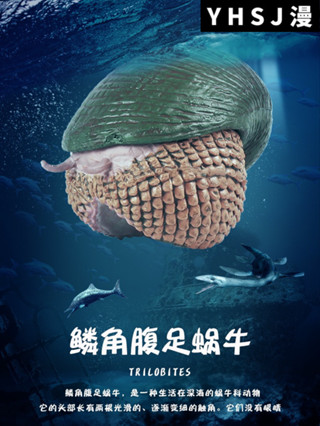 林暢模玩深海生物鱗角腹足蝸牛模型兒童史前海洋模擬遠古動物玩具 56a