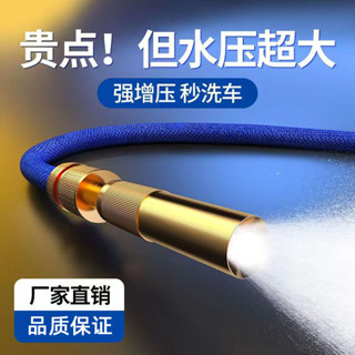 現貨快速發貨! 洗車水槍高壓家用純銅直噴萬能澆水