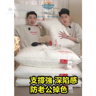 羽絲絨枕芯丨三防枕頭丨枕芯 吸濕排汗枕 雙面防水枕套 保潔墊 枕頭 酒店枕頭 民宿枕芯 飯店枕芯 床包 失眠 護頸 整頭