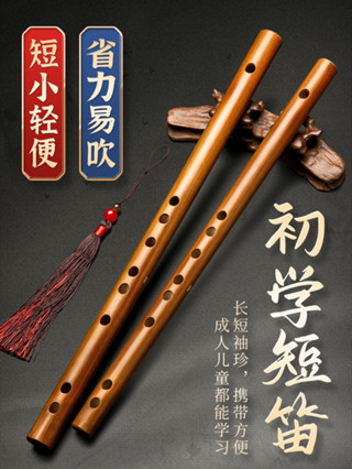迷你短笛樂器便攜式無膜孔橫笛學生入門竹笛初學兒童成人小型笛子