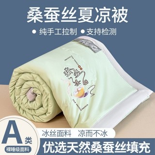 臺灣有貨 2025新款桑蠶絲夏被夏涼被空調被 單人夏被 雙人夏被 薄被 空調被 FIJW
