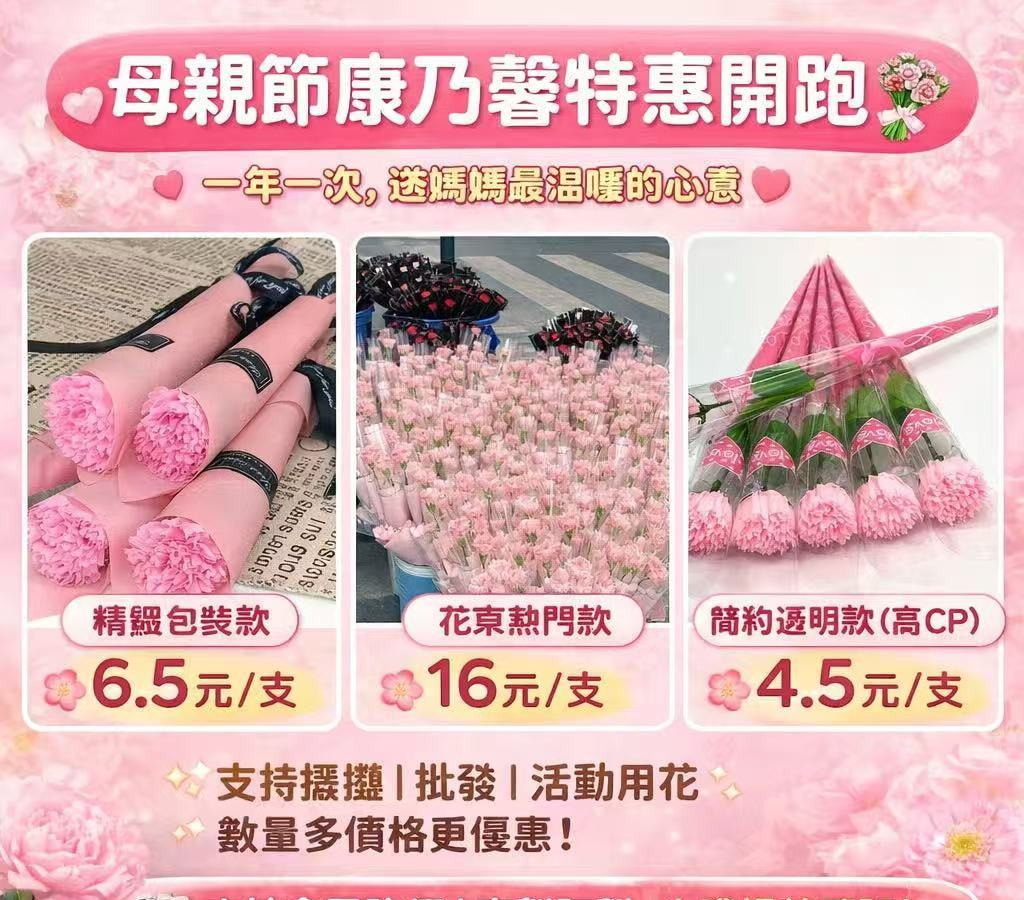 【台灣發貨】母親節康乃馨4.5元起 單支花束 批發價 肥皂花 高CP花束 擺攤必備  支持客製 送禮首選 康乃馨花束